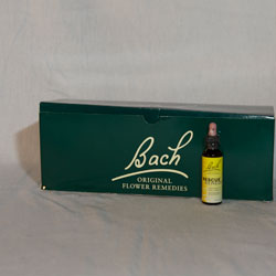 Bach-bloesem remedies